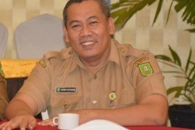 Populasi Ternak Sapi Pengaruhi Pekebun di Riau