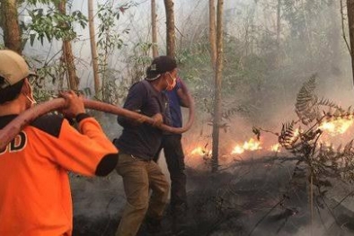 Polda Riau Tangani 20 Kasus Karhutla dengan 24 Tersangka