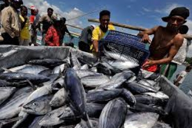 Hasil Tangkapan Ikan Daerah ini Capai Rp 600 Juta Tiap Hari