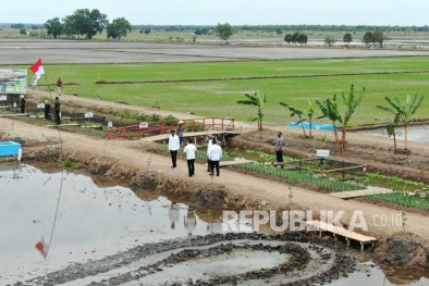 Begini Perkembangan Terkini Proyek Food Estate