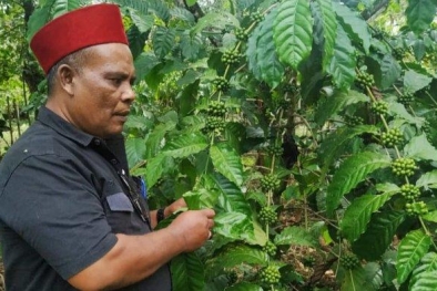 Partisipasi di Ekspor Kemerdekaan, Aceh Kirim Kopi ke AS