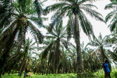 Petani Masih Tak Percaya Duit Rp30 Juta Itu