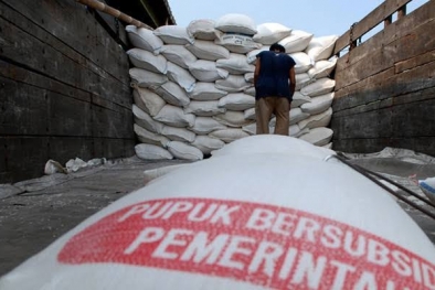 Derita Petani di Masa Pandemi, Harga Pupuk Subsidi Naik Segini