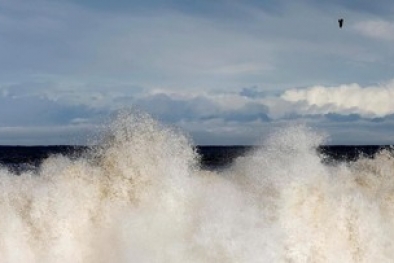 Laut Selatan Lagi Ganas, Ombak Ekstrem Sampai 6 Meter