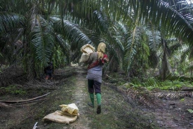 Bupati Aceh Tamiang Ajak Masyarakat Sukseskan Progam PSR