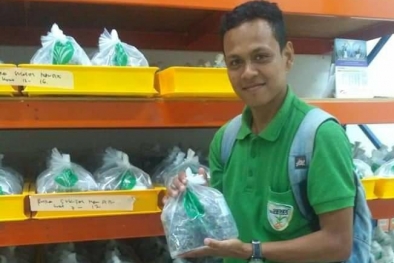 Harga Pupuk Melambung, Petani Sawit di Inhu Menjerit