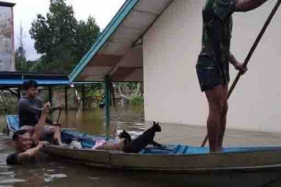 Illog dan Pembukaan Kebun Sawit Dituding Penyebab Banjir