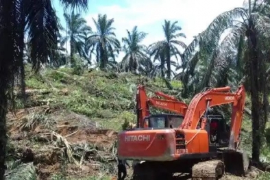 Realisasi PSR Tersendat, Banyak Mundur Karena Diperiksa Aparat