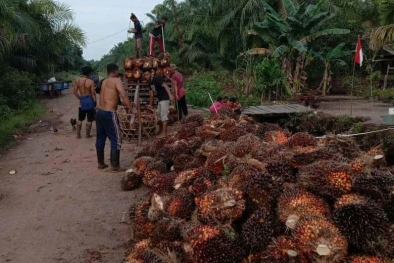 Harga Sawit Bagus, Warung Kopi Makin Ramai