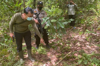 Sempat Hilang, Kepala Remaja Siak yang Diduga Dimangsa Harimau Ditemukan