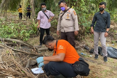 Di Inhu, Mayat Laki-laki Ditemukan Dalam Kebun Sawit