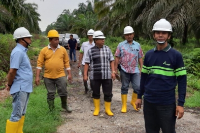 Lahan Sawit 3.500 Hektare Itu Sudah di Tangan Persi