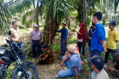 Masalah Ganti Rugi Berbelit, Warga Duduki Kebun Sawit