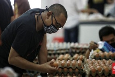 Harga Telur Ayam Anjlok ke Rp15 Ribu-Rp17 Ribu per Kg