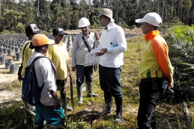 Kecambah ini Dihargai Pakai Ringgit, Bayarnya Pakai Rupiah