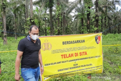 Masuk Kawasan Hutan, Kebun dan Pabrik Sawit Disegel Polisi