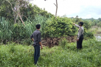 Petani Sawit Diminta Tak Bakar Lahan