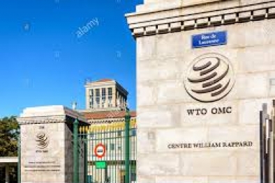 UE Diprediksi Bakal Panen Gugatan di WTO