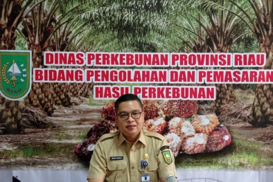 Tak Seperti Sawit, Harga Karet di Riau Malah Turun