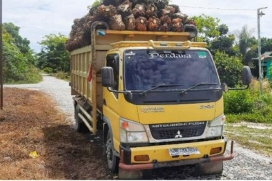 Soal Curi Sawit, Polres Kampar Bantah Tudingan Kriminalisasi