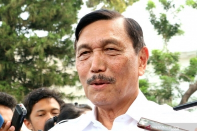 Luhut Upayakan Pelestarian Mangrove Taman Suaka Margasatwa