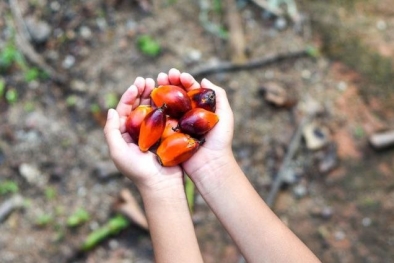 Belasan Anak Petani Sawit Inhu Dikuliahkan, Ini Nama-namanya