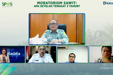 Moratorium Usai, Kementan Fokus Replanting