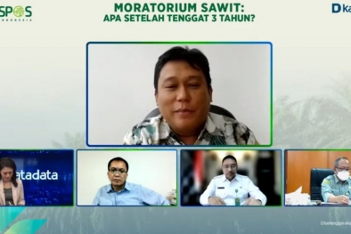 Moratorium Bikin Kemitraan Petani Sawit Meningkat