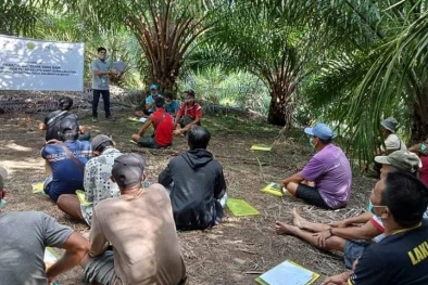 Petani Sawit di Dua Daerah ini Dituntun Kuasai GAP