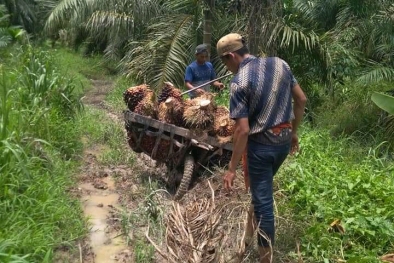 Jalan Kebun Jelek, Pemerintah Siapkan Program Sarpras Sebagai Solusi