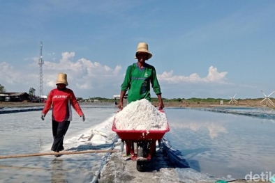 Nasib Petani Garam, Kena Anomali Cuaca, Dihantam Impor Pula