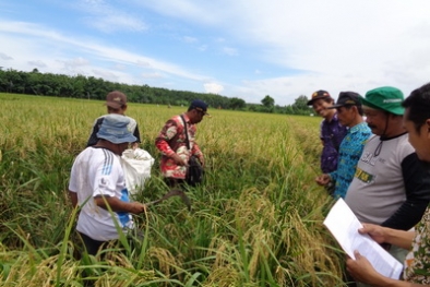 Puluhan Ribu Petani Bakal Dilibatkan pada SITASI