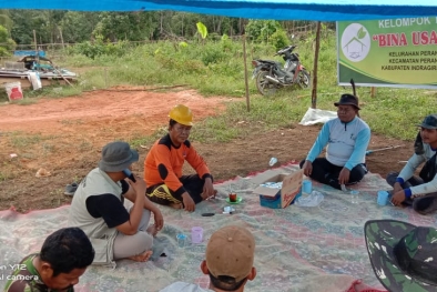 Gara-gara Pupuk Mahal, Petani Sawit Berkebun Pisang