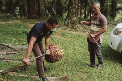 Karena Pandemi, Perayaan Hari Jadi tak Bisa Ramai-ramai