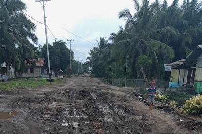 Kawasan Hutan: 