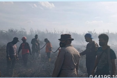 Semak Belukar di Lahan Gambut Terbakar, Api Masih Berkobar