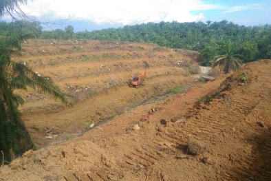 200 Ha Kebun Sawit Masyarakat Mau Dibabat Perusahaan