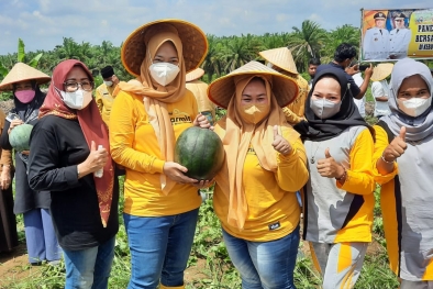 Pertanian Menjadi Sektor Ekonomi yang Menjanjikan