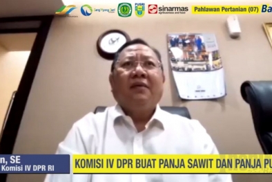 Dukungan Anggaran Diperlukan Untuk Menggenjot Produktivitas Sawit