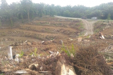 Ada Indikasi Pilih Kasih Terhadap Pengusul PSR