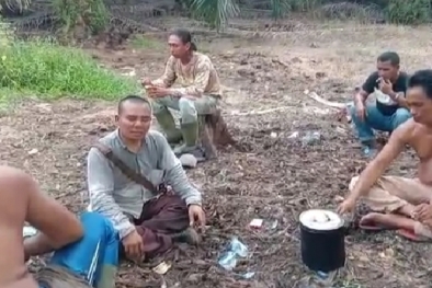 Petani ini Yakin Usai Trek Harga TBS Masih Bertahan Tinggi