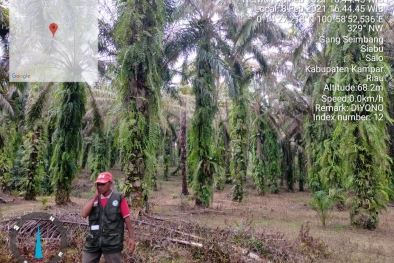 Kisah Sedih Petani Kampar Tak Bisa Ikut PSR