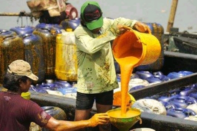 Harga CPO dan Inti Sawit Naik Signifikan