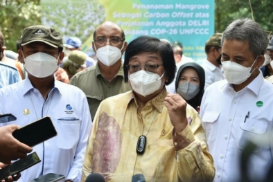 Aplikasi PMN Jaga Konservasi Ekosistem Mangrove