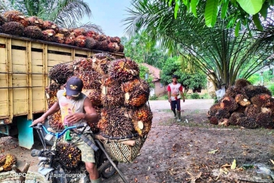 Ram Lebih Disukai Petani Ketimbang PKS