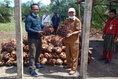 Sukses Replanting Tanpa Utang, Ini Rahasianya