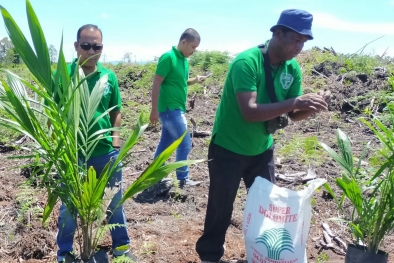 Ribuan Hektar Kebun Anggota SAMADE Dapat Rekomtek PSR