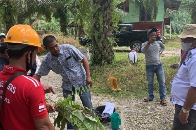 Ribuan Petani Sawit di Aceh Didukung Raih Sertifikasi RSPO