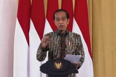 Ingatkan Pemerintah Daerah, Jokowi: Jangan Latah, Sawit Rame Semua Nanam Sawit