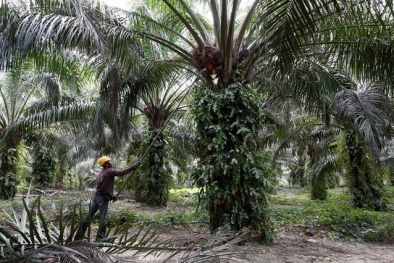 Target Negeri Seribu Parit Akan Tercapai